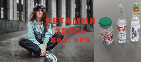 сатива Аша